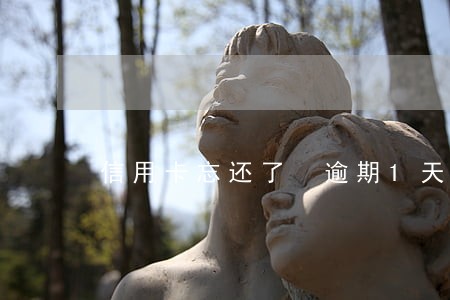 信用卡忘还了 逾期1天